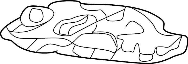 Transmission Oil Filter 09P-325-429 - View 11