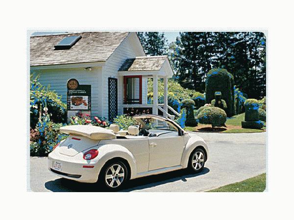 Convertible Stowage Cover 1Y0-871-041-D-A64 - View 6