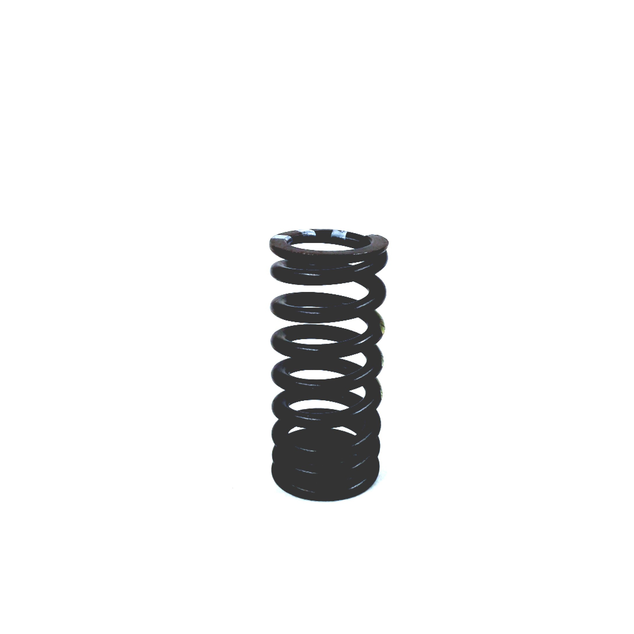 Valve Springs 06F-109-623