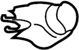 Wiper Arm Cap 6Q6-955-435-D - View 4