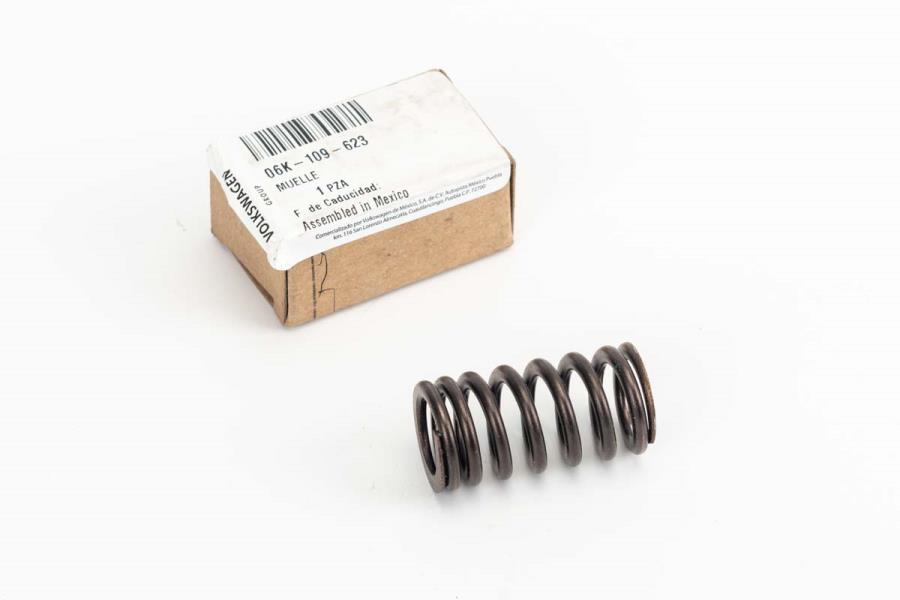 Engine Valve Spring 06K-109-623
