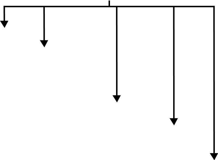 Inner Boot 1K0-498-201-A - View 22