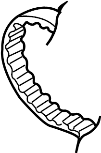 Timing Belt 06A-109-119-D - View 6