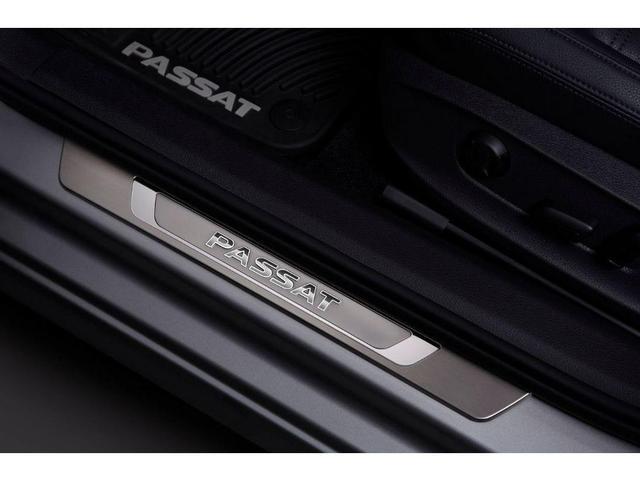 Door Sill Protection Trim With Logo 561-071-303 - View 2