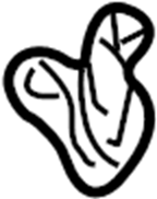 Exhaust Muffler Bracket 1J0-253-144-Q - View 46