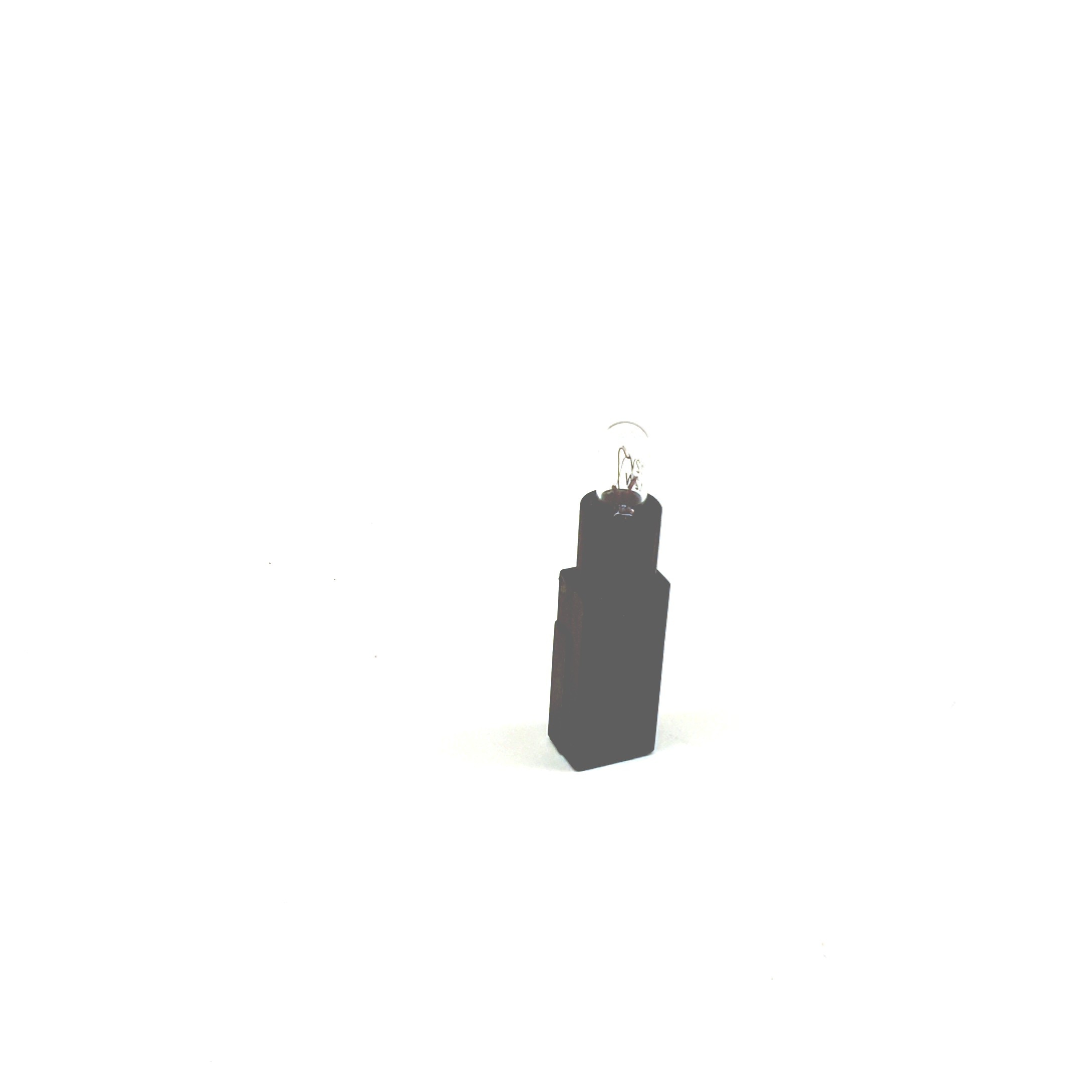 Bulb & Retainer 3B0-919-243-B