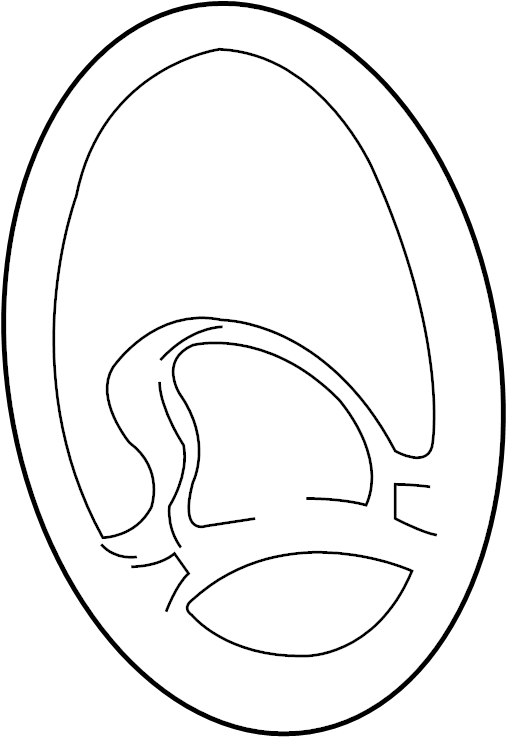 Steering Wheel 7D0-419-091-J-01C