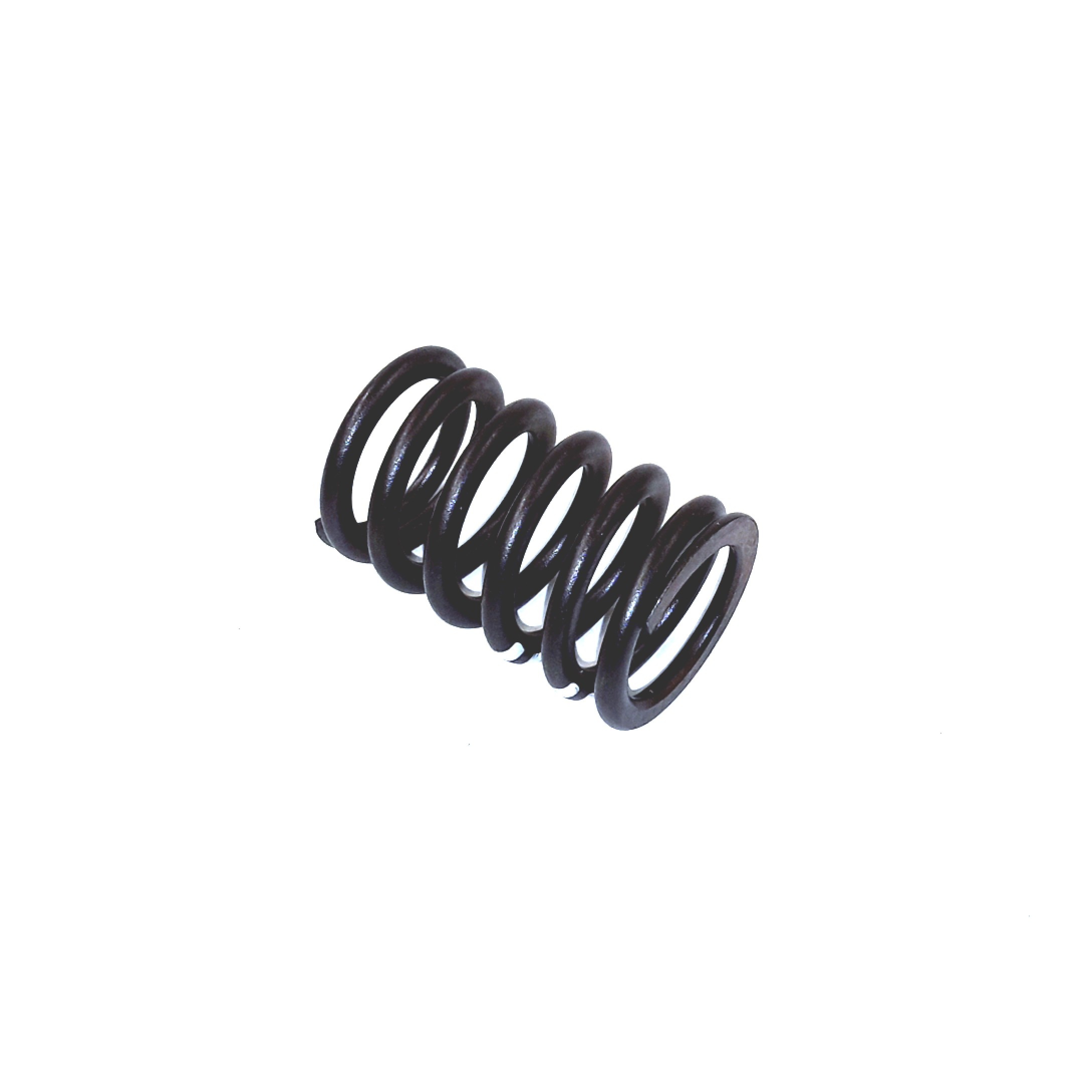 Valve Springs 078-109-623-C - View 3