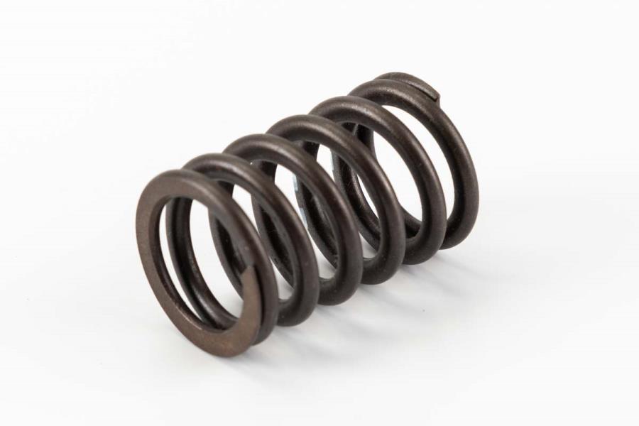 Valve Springs 078-109-623-C