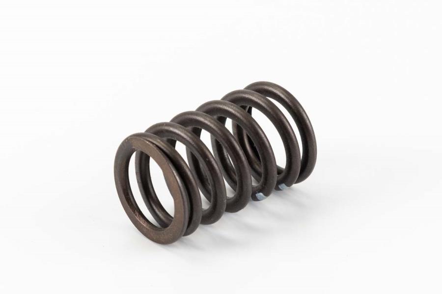 Valve Springs 078-109-623-C - View 2