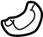 Intermediate Pipe Gasket 1H0-253-115 - View 12