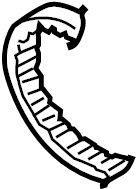 Timing Belt 038-109-119-P - View 6