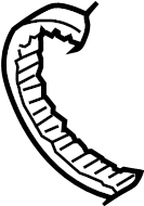 Timing Belt 038-109-119-P - View 4