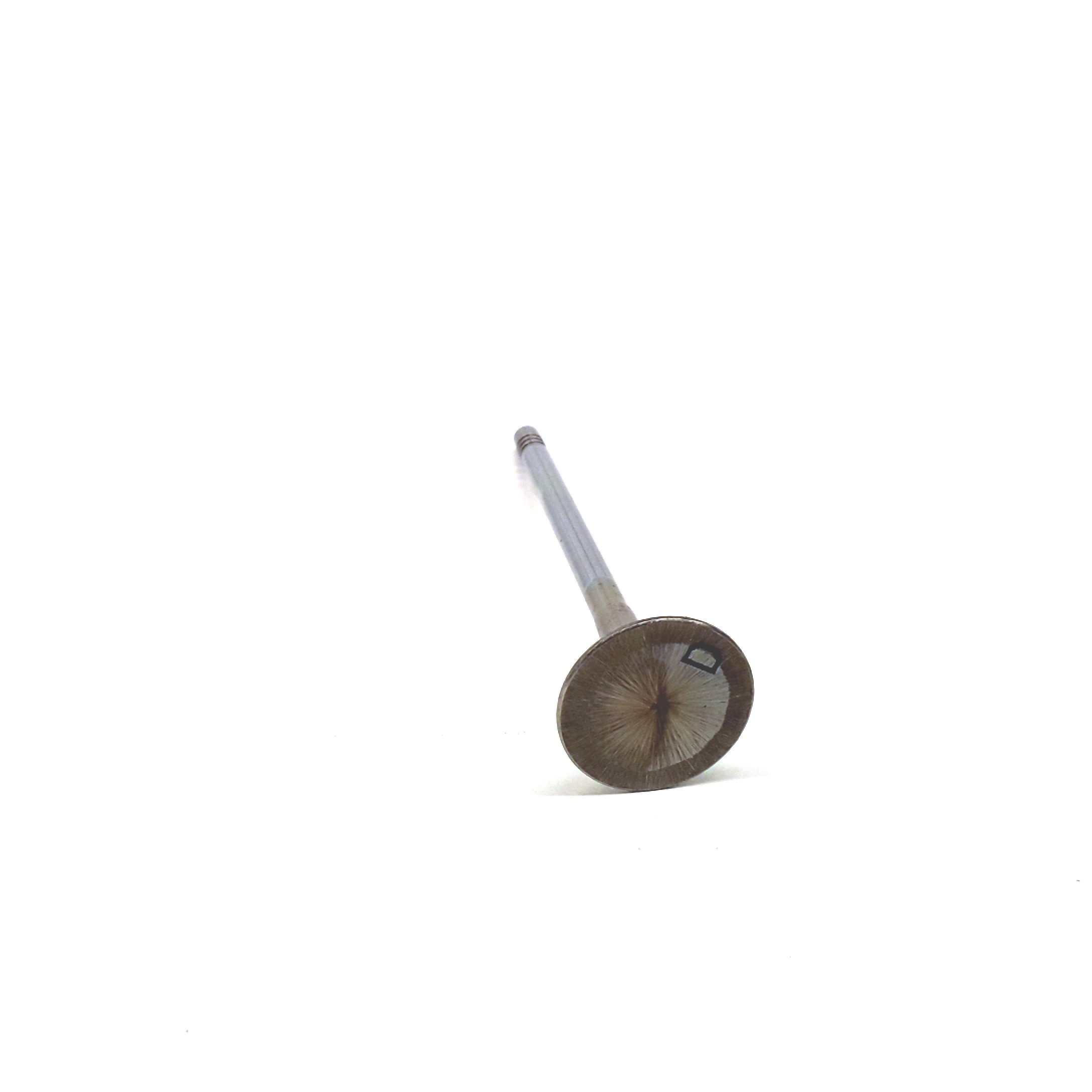 Exhaust Valve 079-109-611-D - View 6