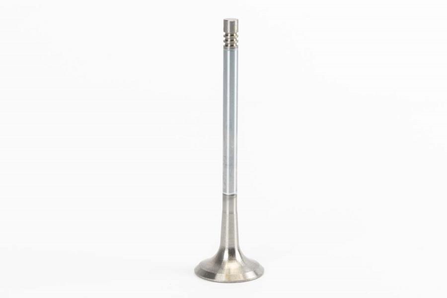 Exhaust Valve 079-109-611-D