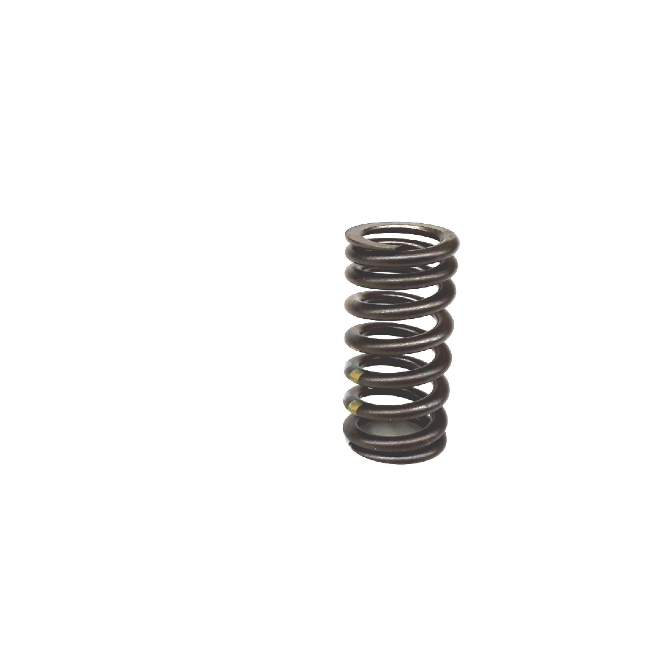 Valve Springs 06E-109-623-AB
