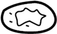 Floor Pan Heat Shield Clip 441-863-987-B