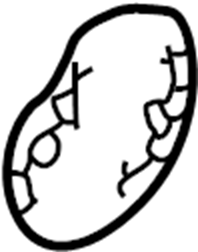 Reflector 7F0-945-105 - View 11