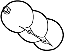 Vacuum Reservoir 443-131-541 - View 4