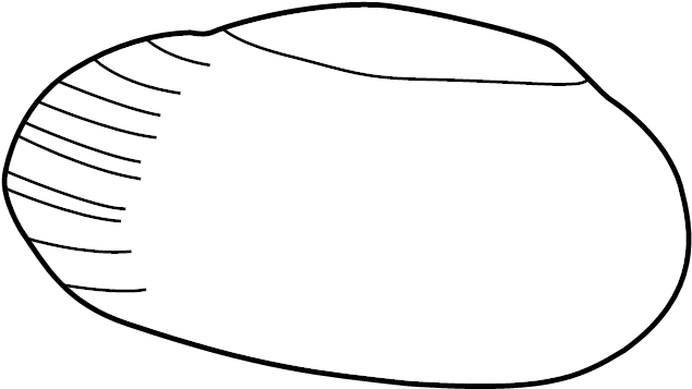 Marker Lamp 1C0-945-073-B - View 3