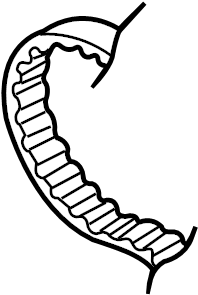 Timing Belt 06B-109-119-A - View 3