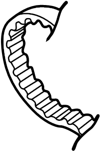 Timing Belt 06B-109-119-A - View 2