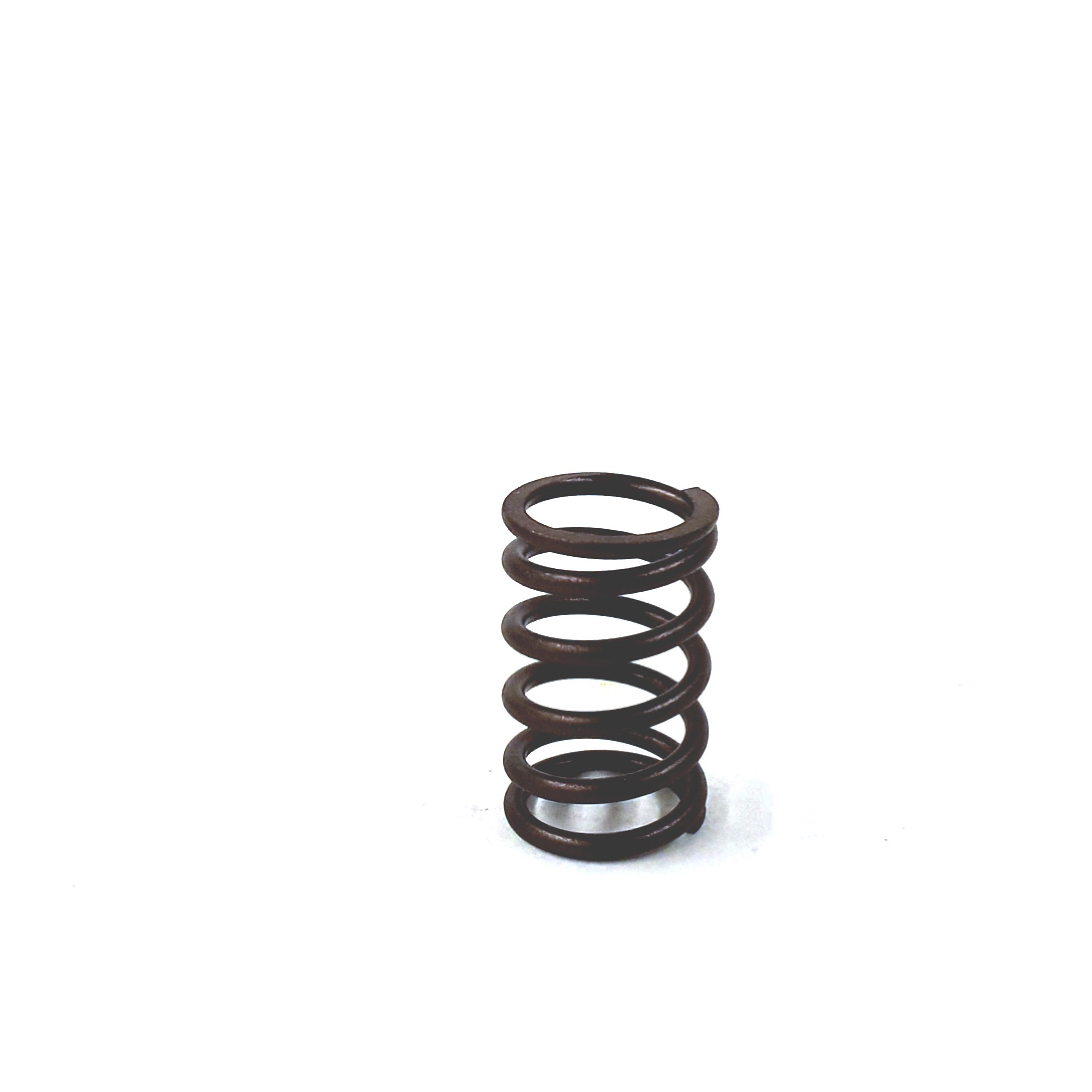 Valve Springs 038-109-633