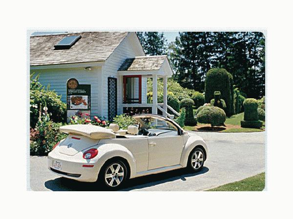 Convertible Stowage Cover 1Y0-871-041-D-5QT - View 7