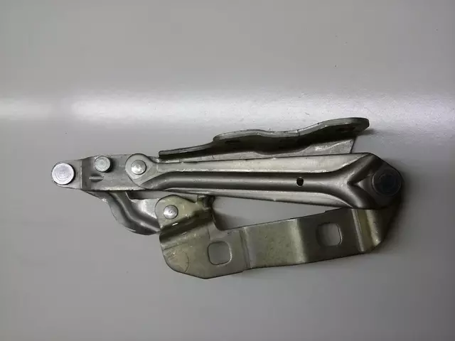 Hinge 1C0-823-301-H - View 8