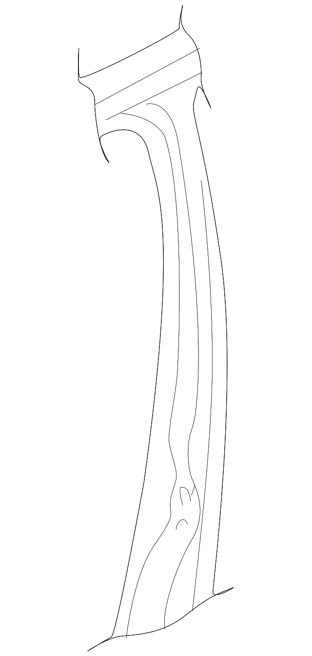 Seat Belt Reinforced 443-803-377-D - View 4